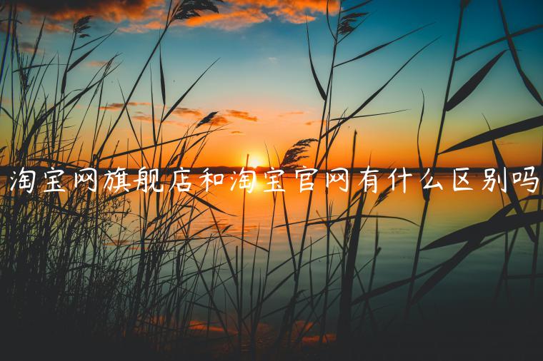 淘寶網(wǎng)旗艦店和淘寶官網(wǎng)有什么區(qū)別嗎